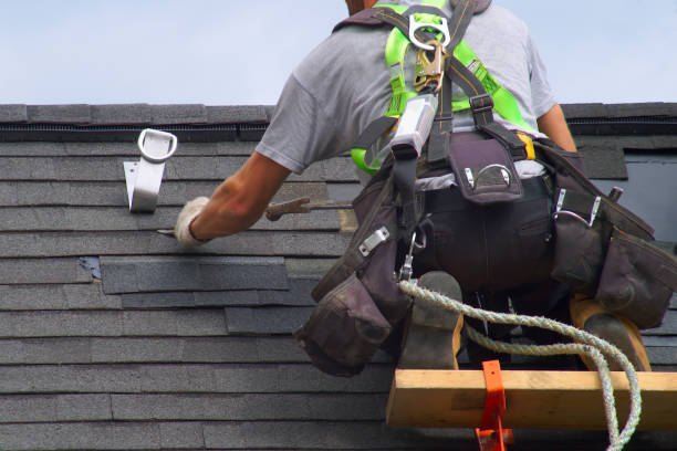 Best Roof Gutter Cleaning  in East Brady, PA