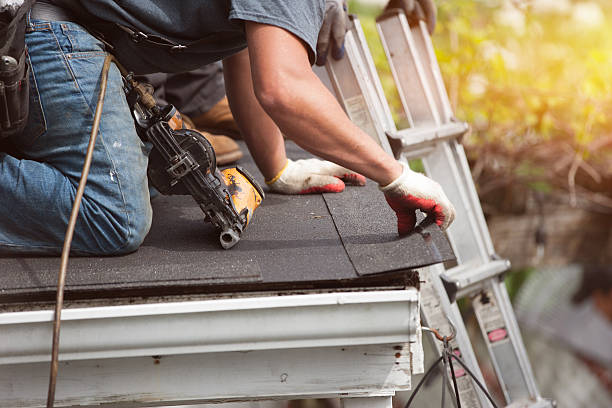 Professional Roofing Contractor in East Brady, PA